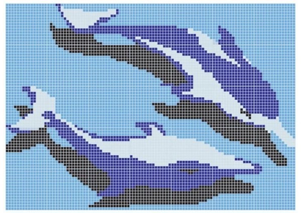 Q DOLPHINS (cena za 1m2)