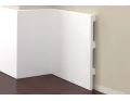 Opis obrazu